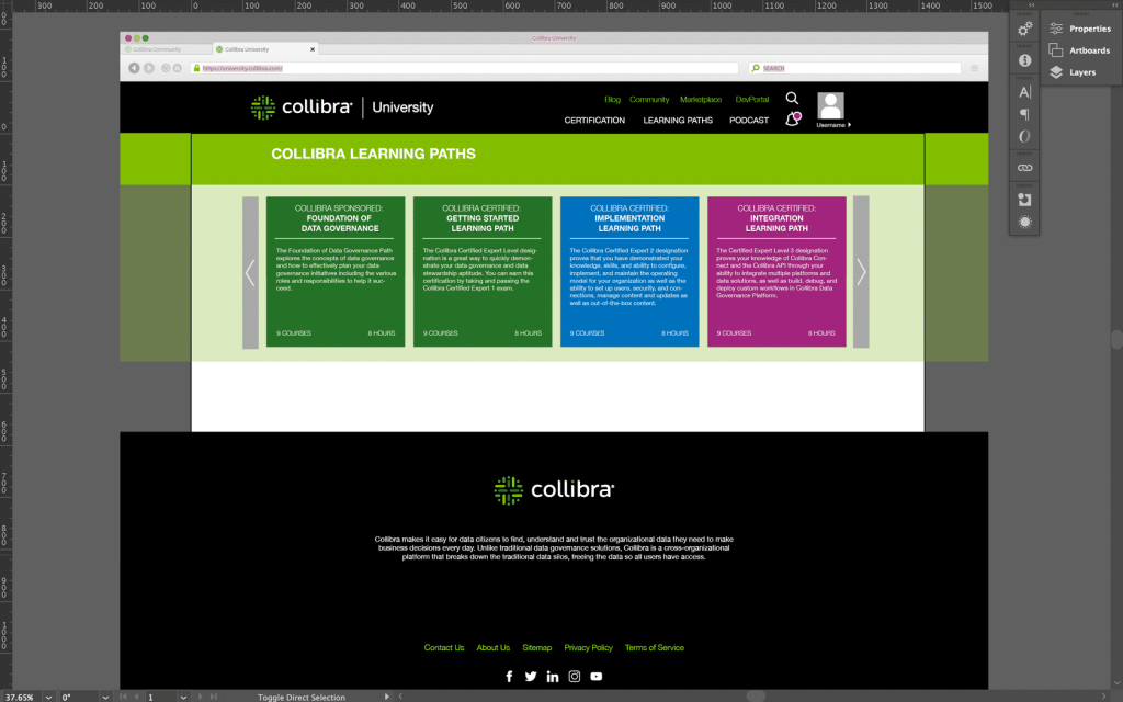 collibra-university-learning paths