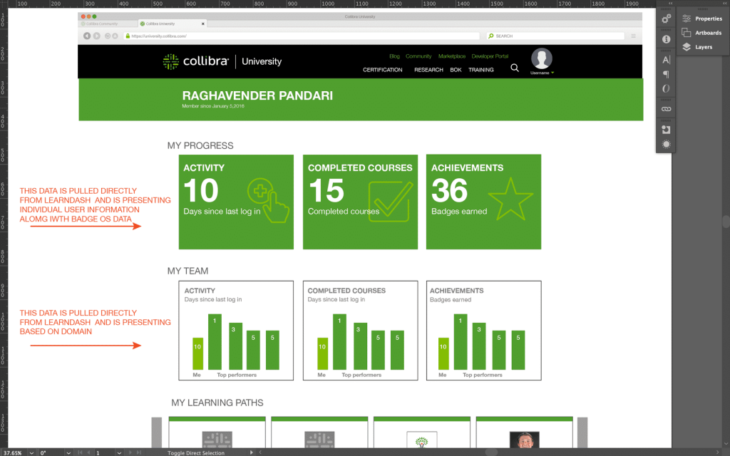 collibra-university-stats